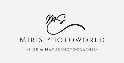 Logo Fotograph